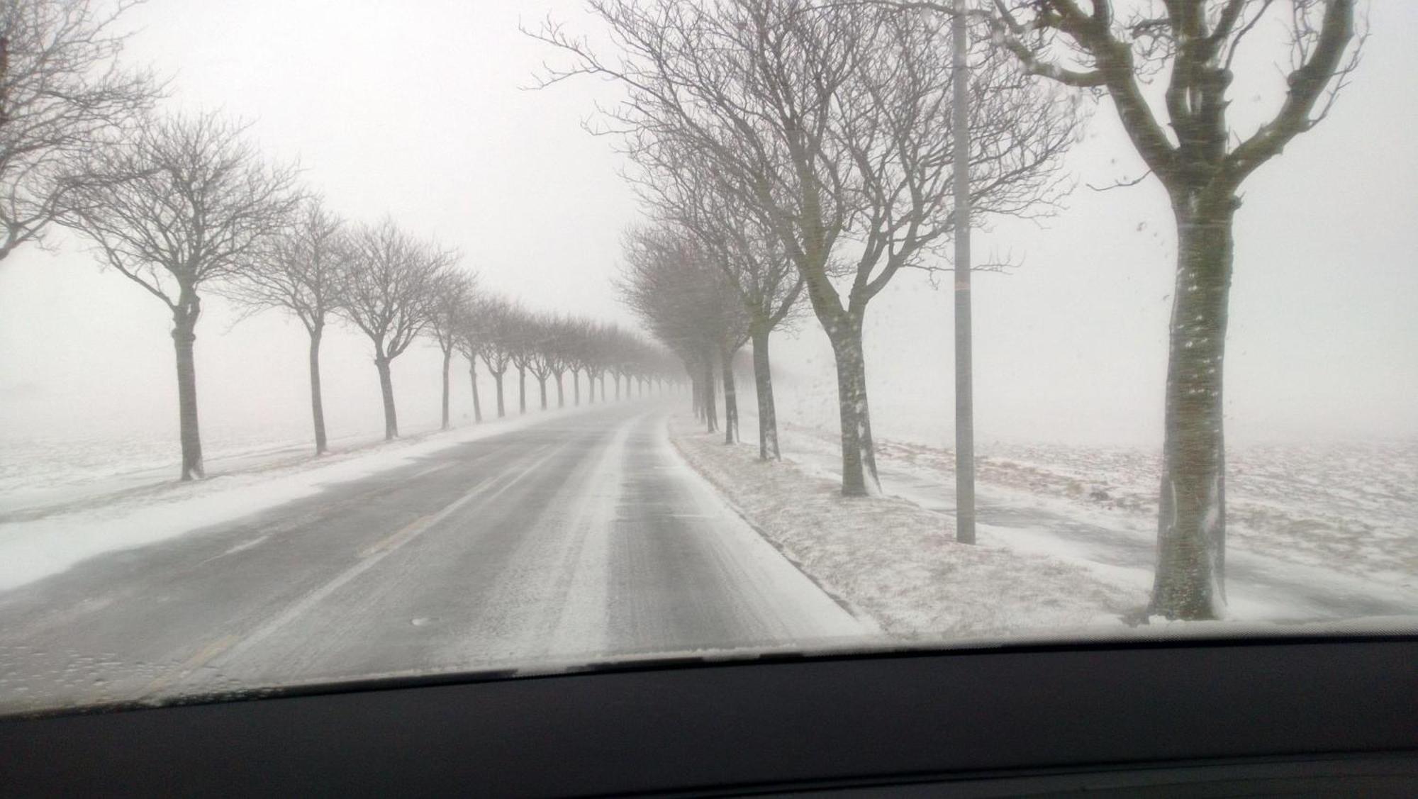 Fehmarn-Sonne-Meer Lägenhet Burgtiefe auf Fehmarn Exteriör bild